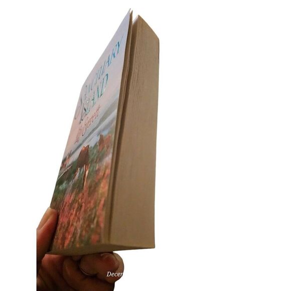 Sanctuary island by Lily Everett St. Martin's paperbacks books isbn 978125001837 - Picture 3 of 5